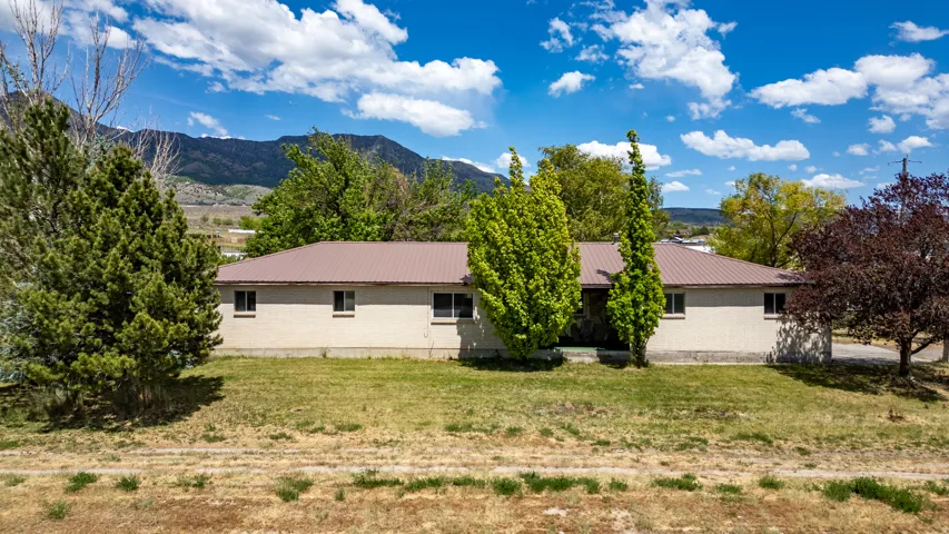 Ranch-style residence featuring a metal roof, light-colored exterior siding, and multiple windows