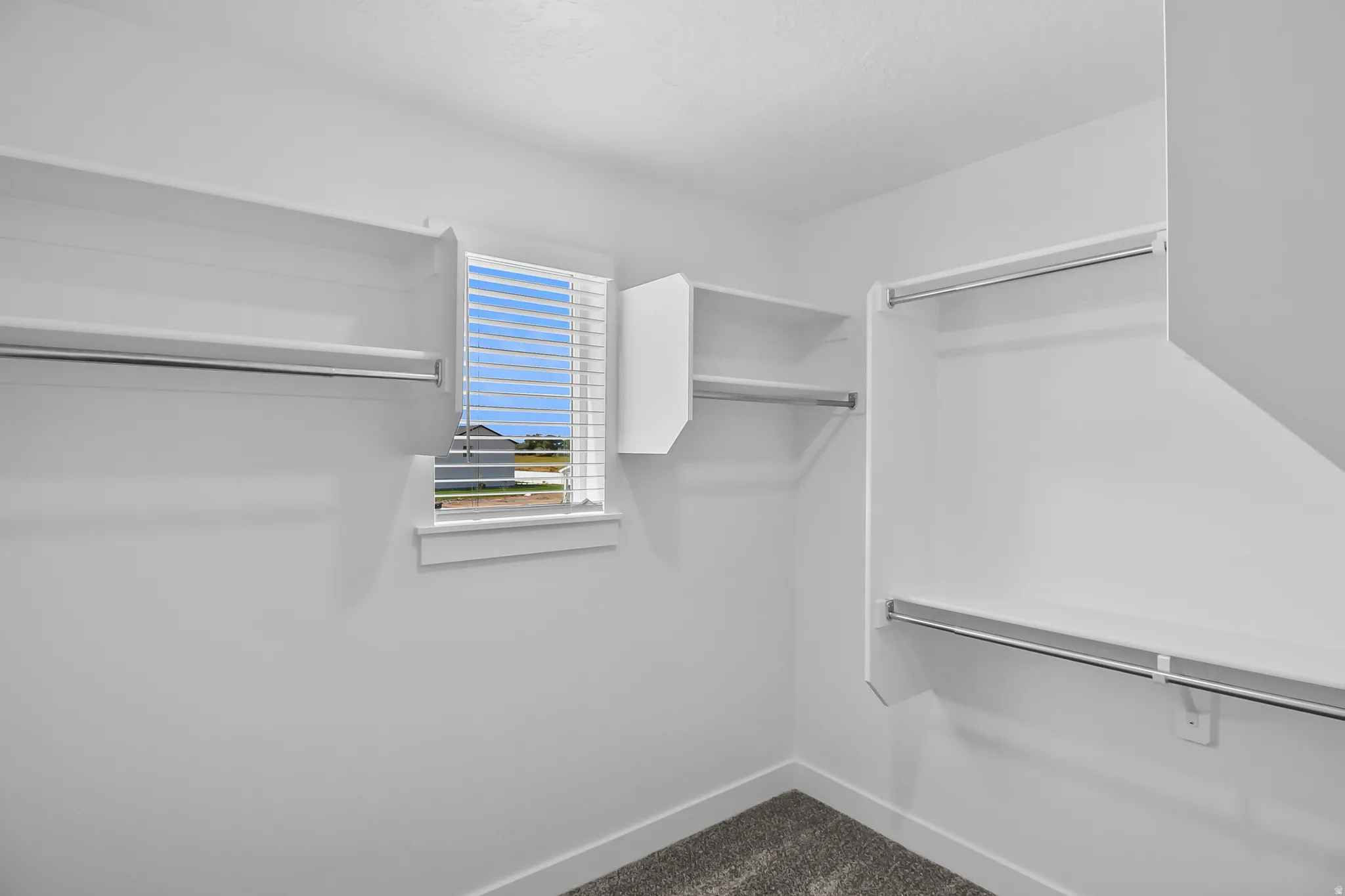 Walk-in closet featuring white shelving, multiple hanging rods, a window with blinds, white walls, and gray carpeting