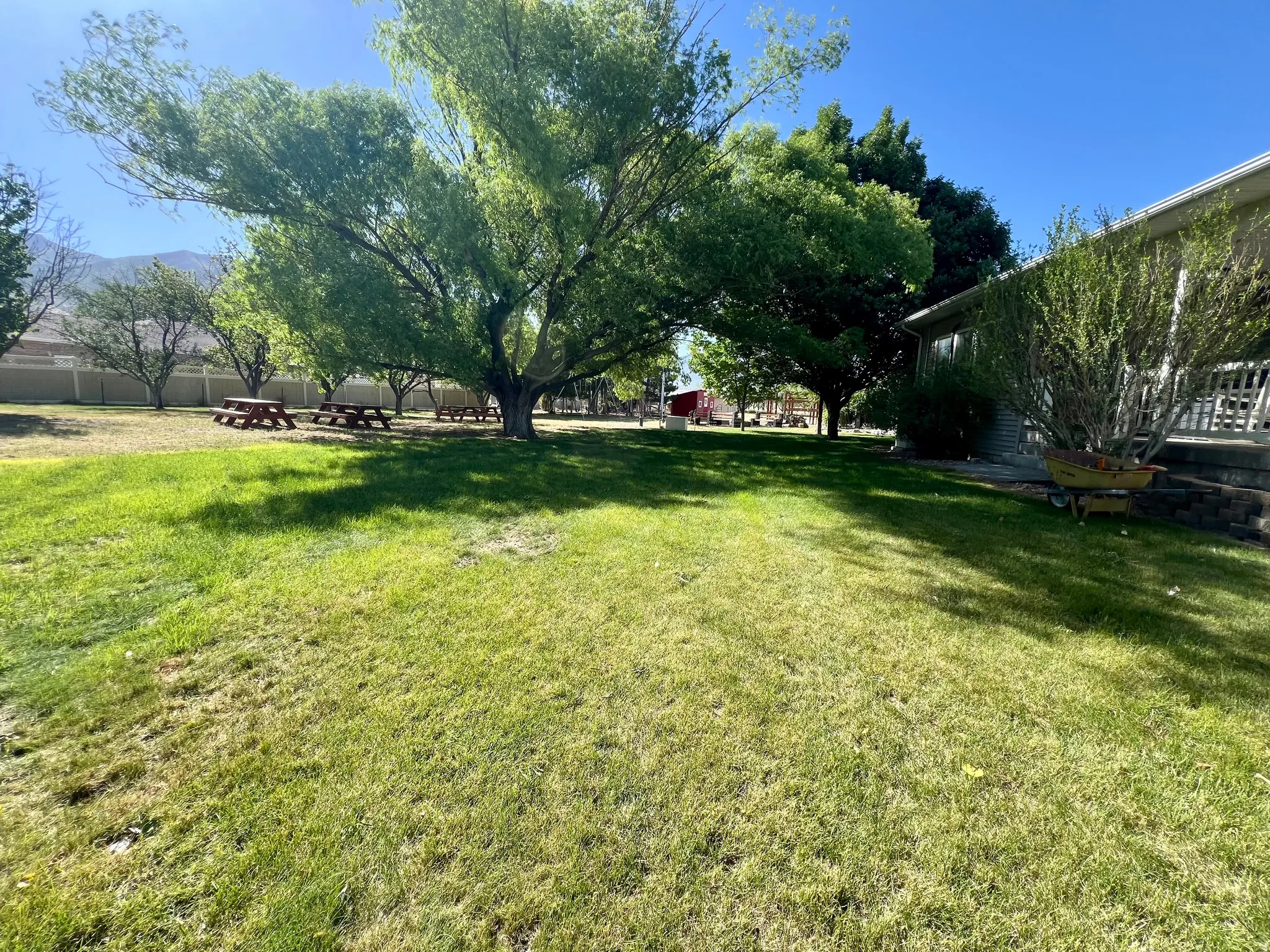 Expansive green lawn with mature shade trees and mountain backdrop