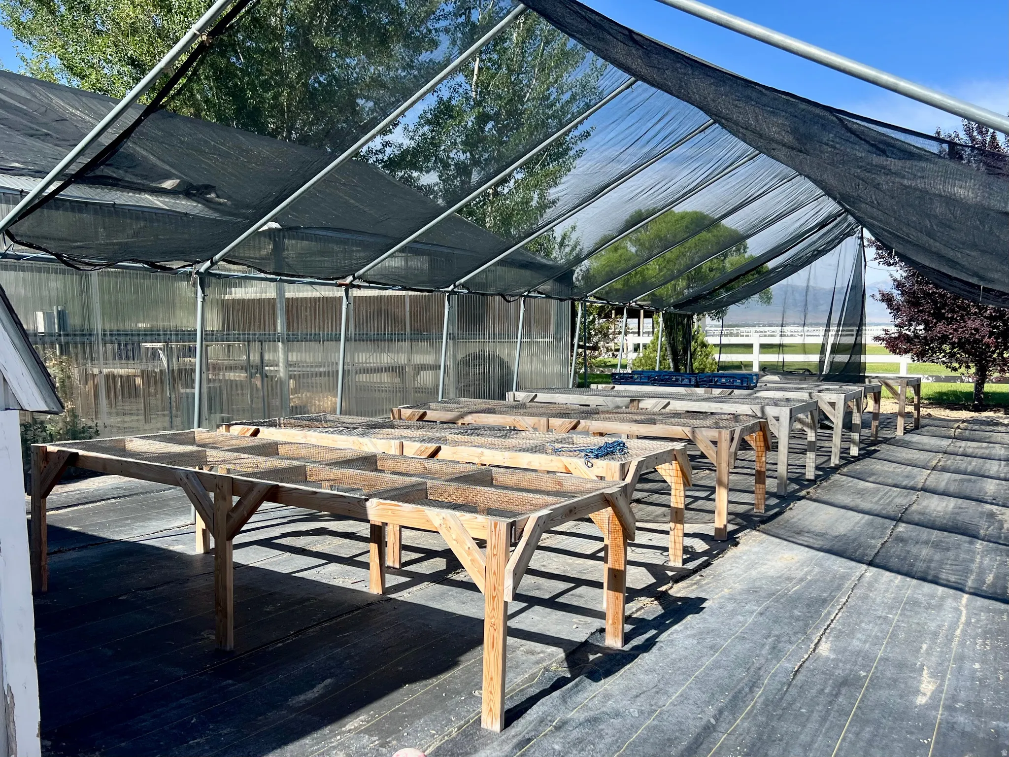 Greenhouse structure featuring a black shade cloth roof, transparent side panels, and multiple wooden plant benches