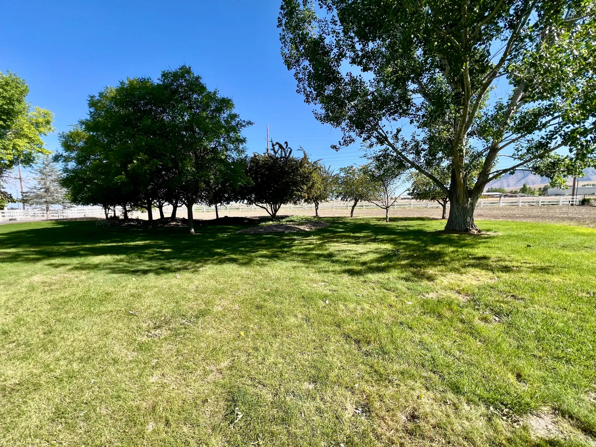 Expansive lawn featuring mature trees and a distant white fence