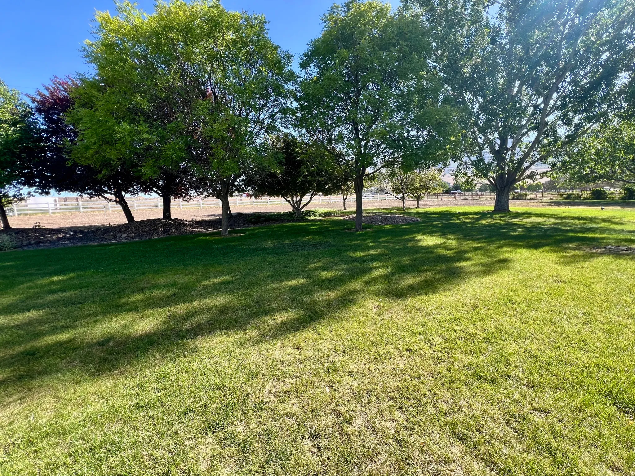 Expansive outdoor space featuring a manicured lawn, mature trees providing natural shade, and a white fence bordering the property