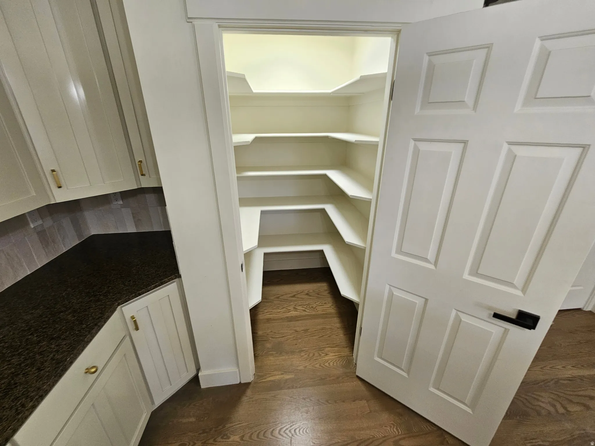 Walk-in pantry with extensive corner shelving, hardwood flooring, and a six-panel door