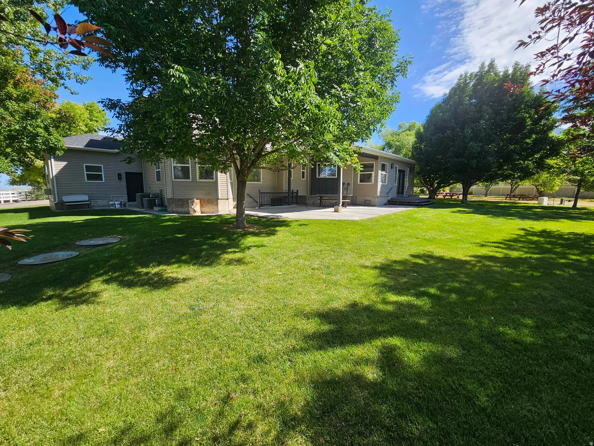 Expansive green lawn with mature shade trees, a concrete patio, and a light-colored stucco exterior
