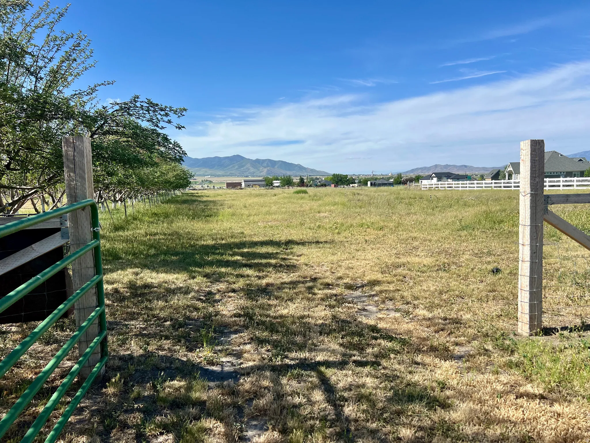 Expansive open land with a green metal gate and sturdy wooden posts
