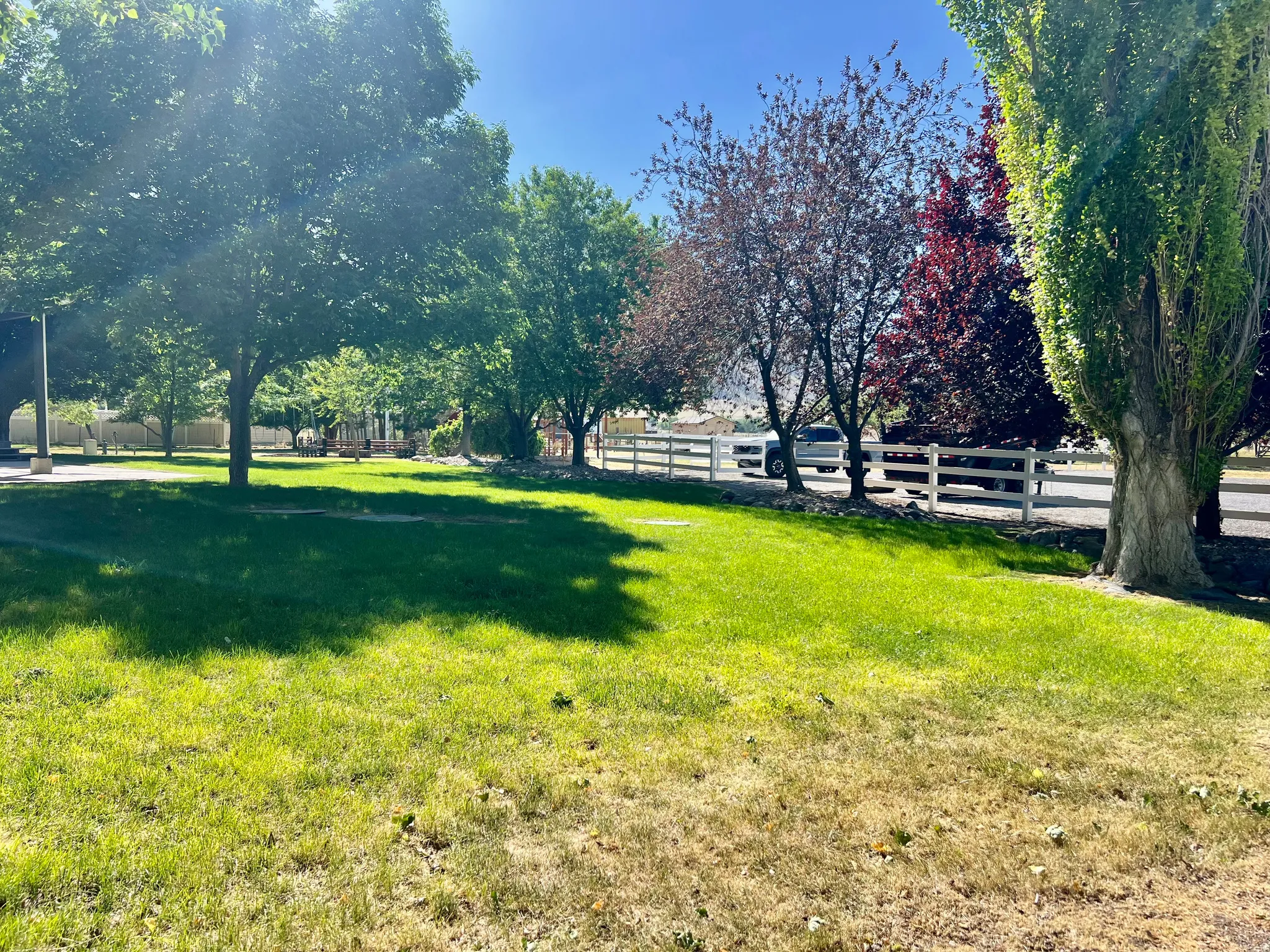 Expansive outdoor green space featuring mature trees and a white split-rail fence bordering the property