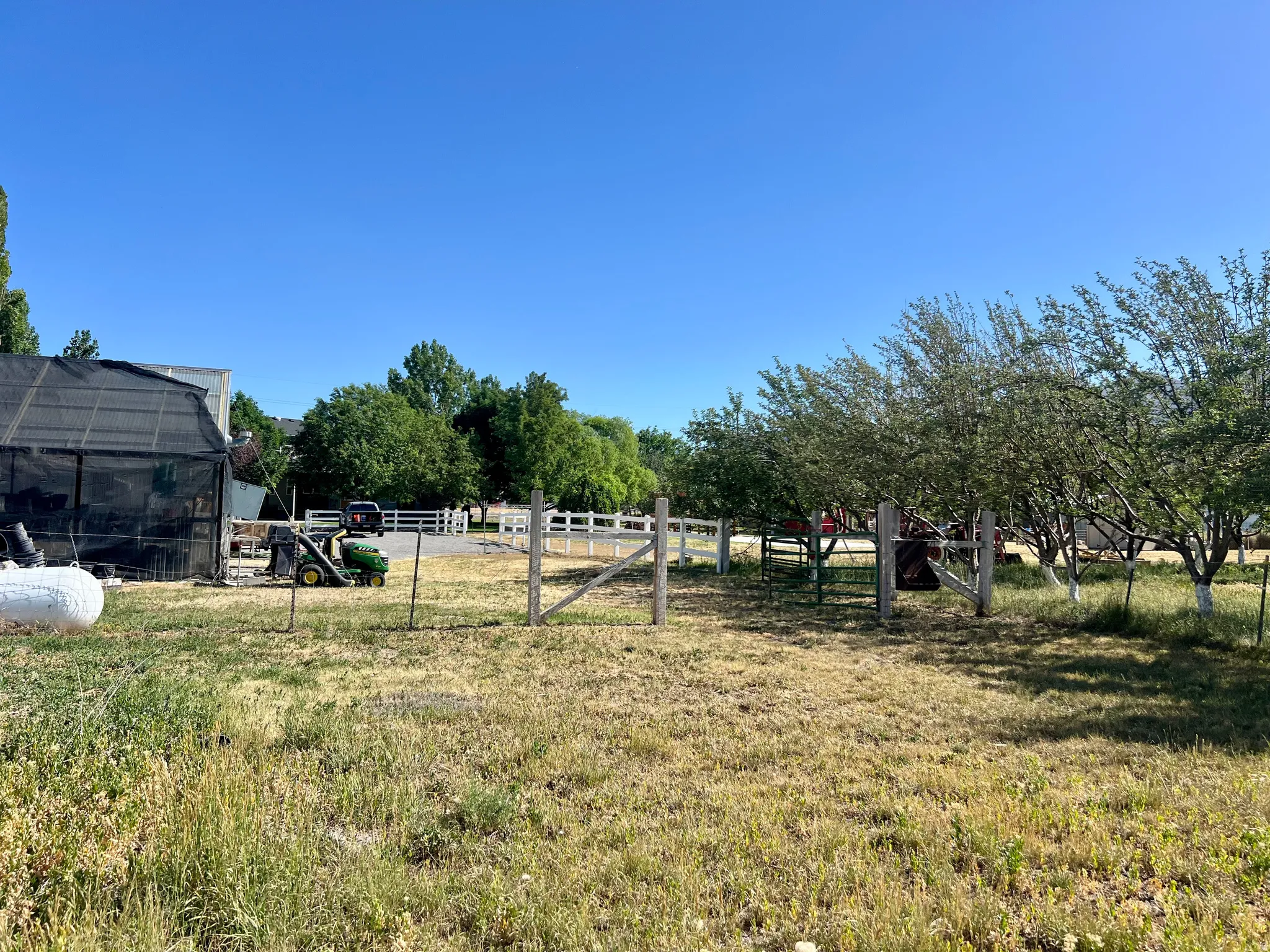 Expansive grounds featuring a white picket fence, a row of mature trees, and a large shade structure