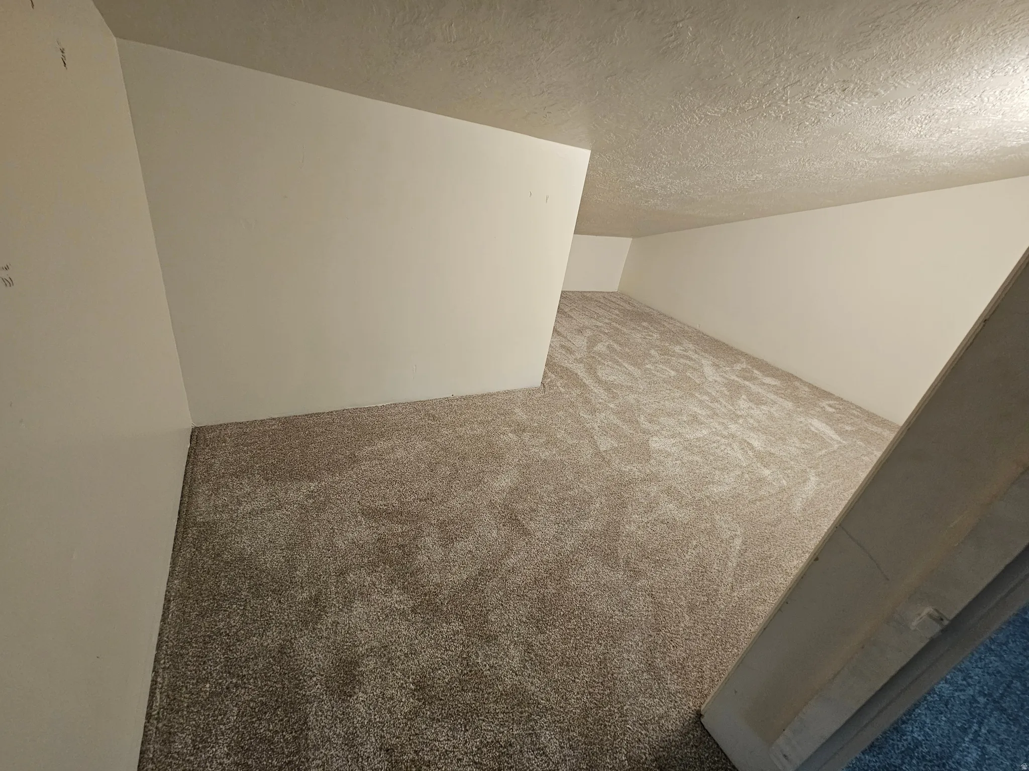 Carpeted room with sloped ceilings and light-toned walls