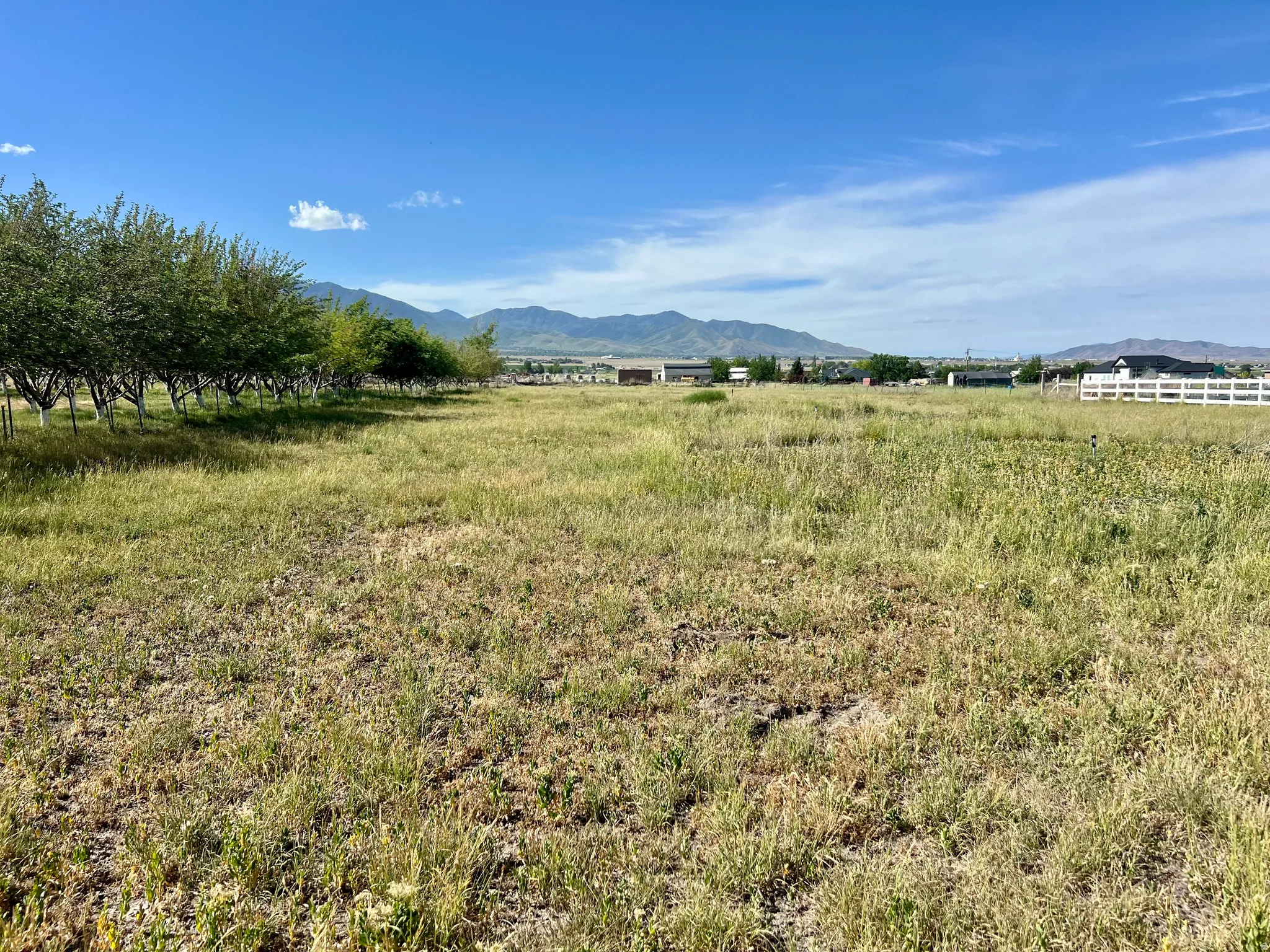 Expansive undeveloped lot featuring natural ground cover