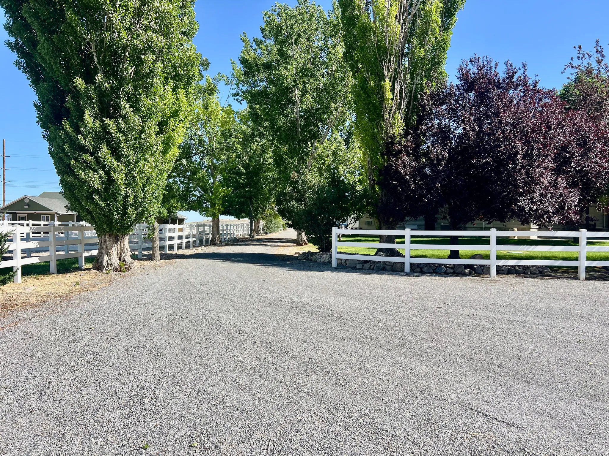 Gravel driveway bordered by white fencing, mature deciduous trees, and manicured green lawn