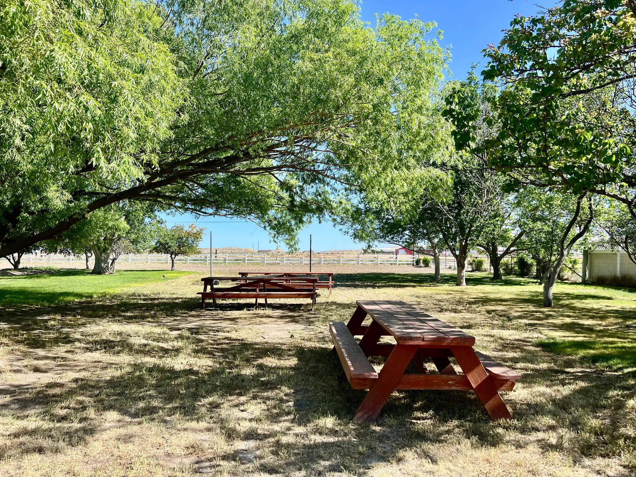 Expansive outdoor space featuring mature trees providing shade, two wooden picnic tables, and a partial white fence in the background