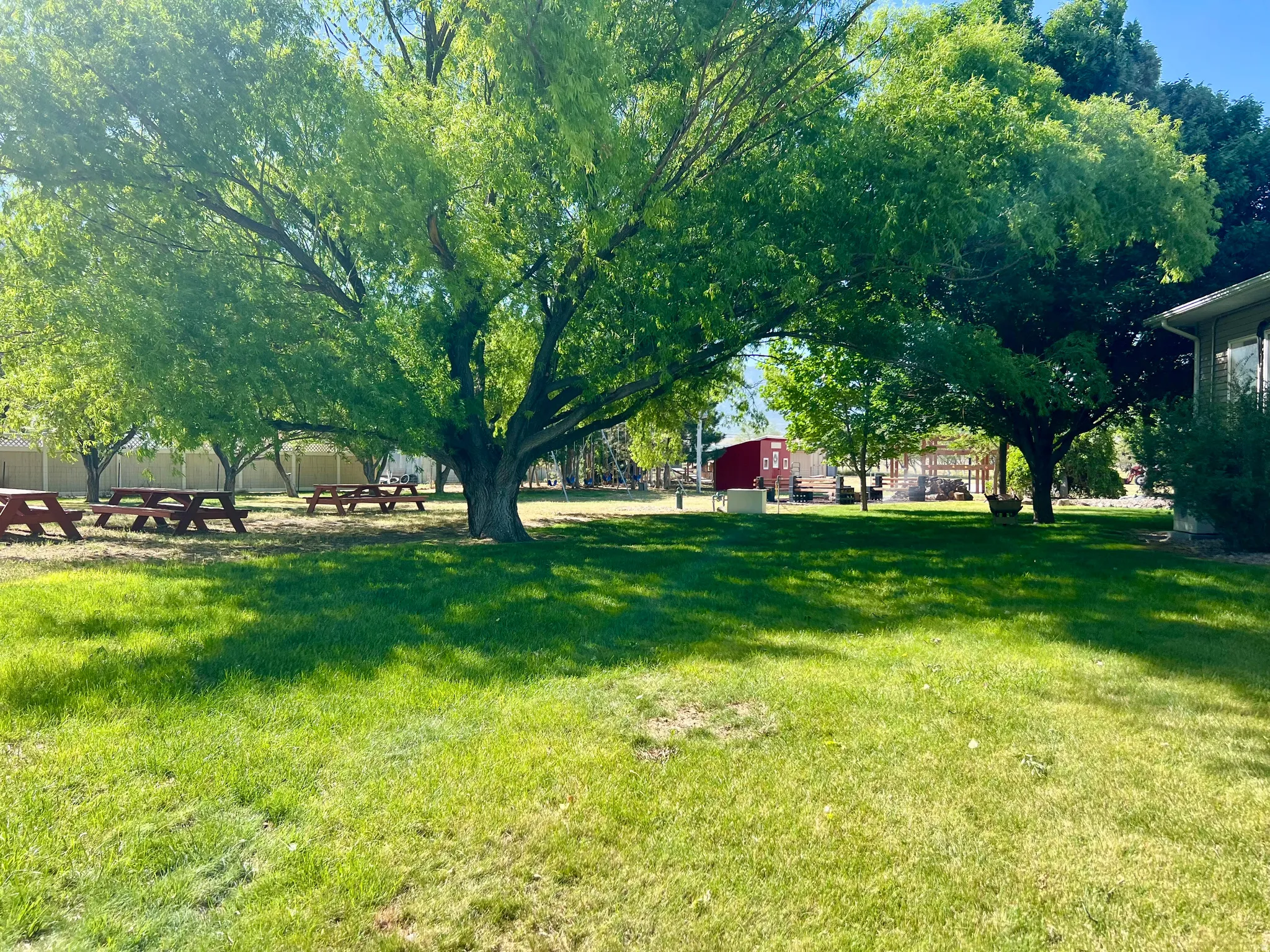 Expansive grassy yard with mature trees, a red outbuilding, and multiple picnic tables