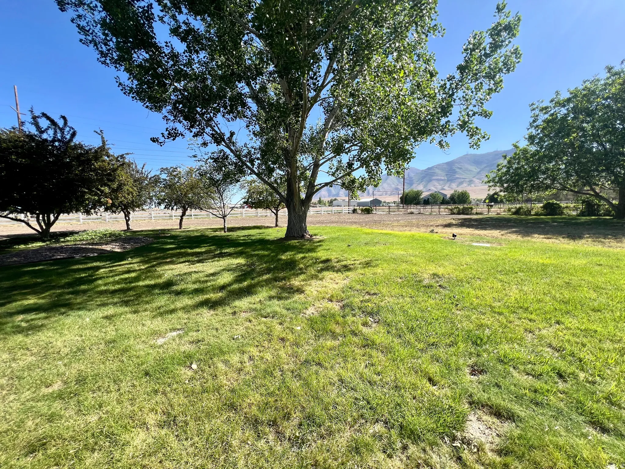 Expansive lawn area with mature trees and mountain scenery