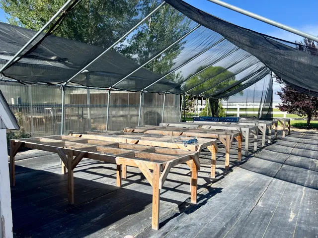 Greenhouse structure featuring a black shade cloth roof, transparent side panels, and multiple wooden plant benches