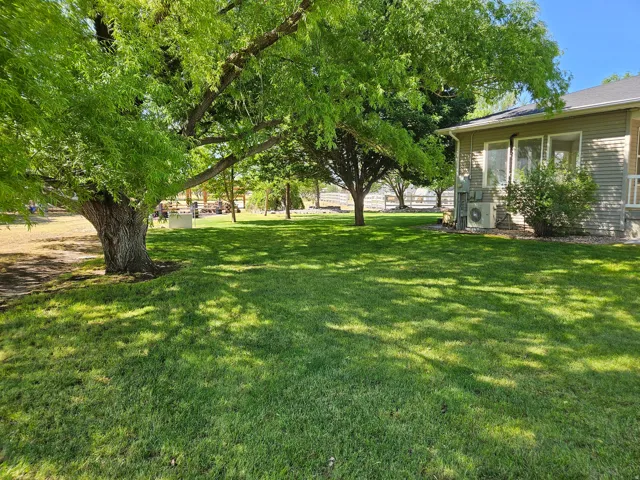 Expansive green lawn with mature shade trees