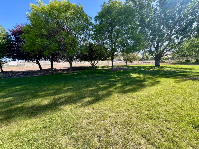 Expansive outdoor space featuring a manicured lawn, mature trees providing natural shade, and a white fence bordering the property
