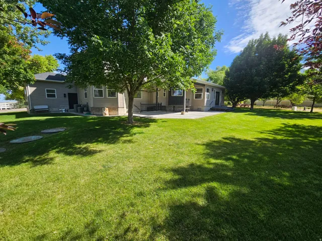 Expansive green lawn with mature shade trees, a concrete patio, and a light-colored stucco exterior