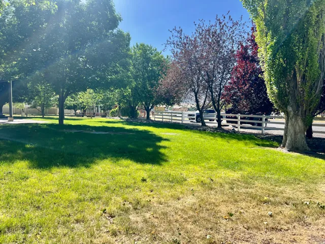 Expansive outdoor green space featuring mature trees and a white split-rail fence bordering the property