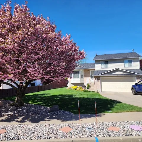 Split-level residence featuring a two-car garage, established landscaping, and a vibrant flowering tree