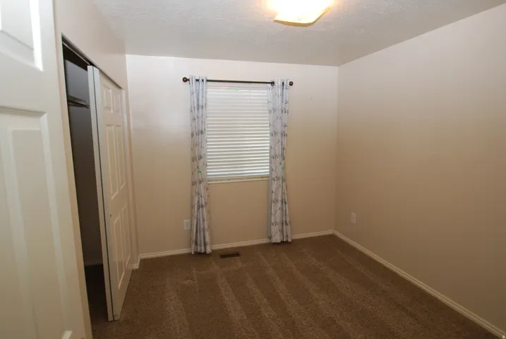 Neutral wall paint with textured brown carpet, window with horizontal blinds and decorative curtains, and a bi-fold closet