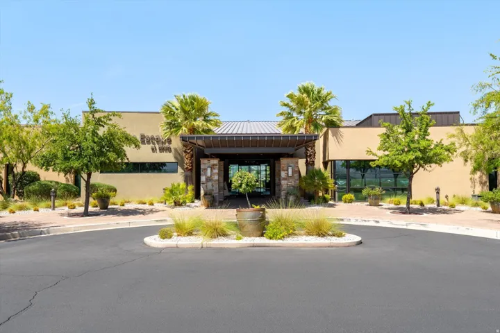 Entryway featuring a metal roof porte-cochere with stone columns, surrounded by mature trees, palm trees, and desert landscaping