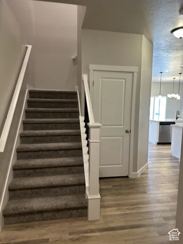 Carpeted staircase with white balusters and dark spindles