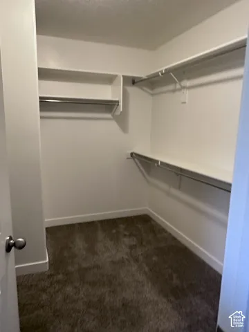 Walk-in closet featuring built-in shelving, chrome hanging rods, white trim, and plush carpeting
