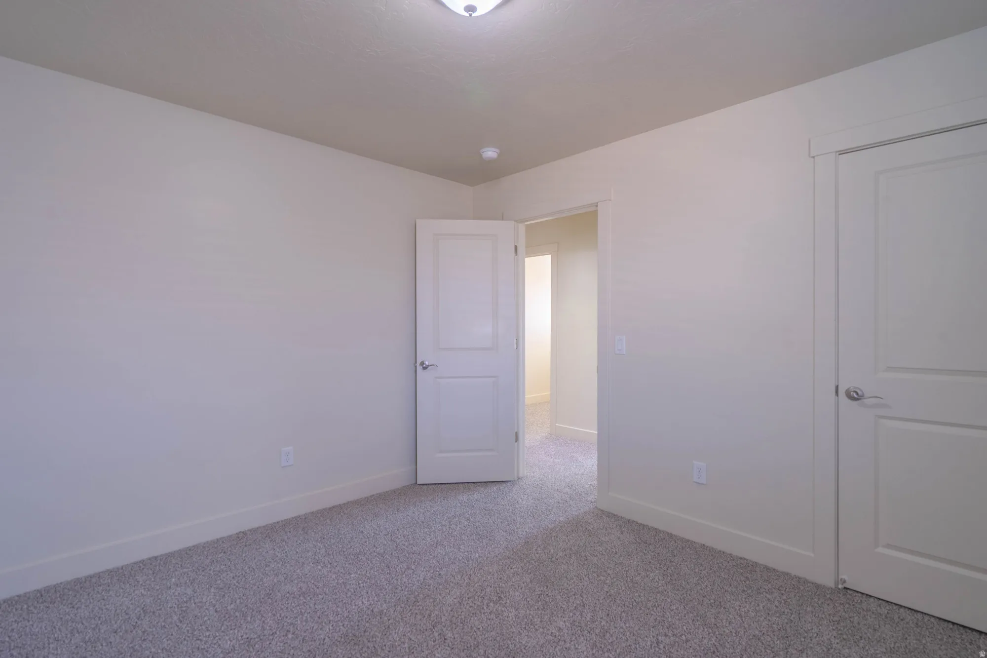 Neutral wall color with a contrasting white trim, textured carpet, and panel doors