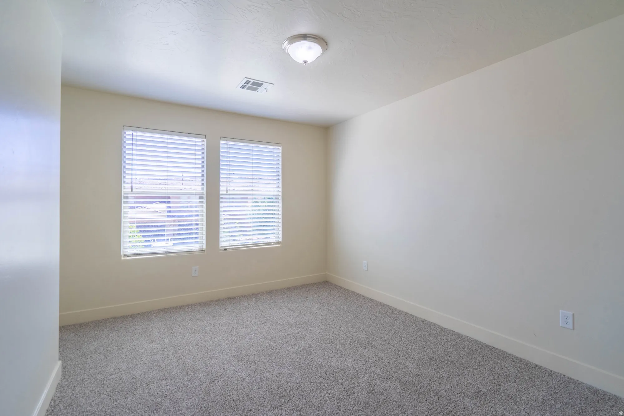 Neutral wall paint with textured carpeting