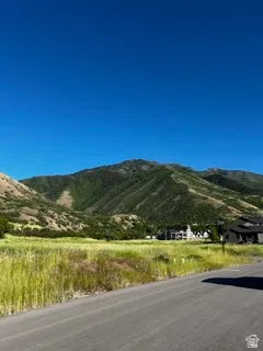 Expansive mountain range backdrop with natural green and golden-hued foliage