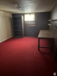 Room featuring rich red carpeting, a window with natural light, and paneled walls