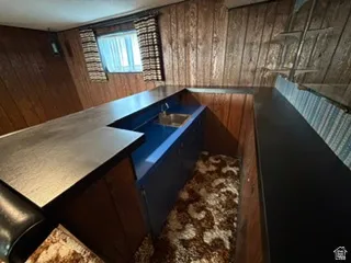 Lower-level space featuring wood paneling, a built-in bar with a sink, and a patterned carpet