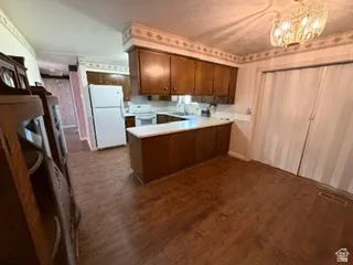 Kitchen featuring wood-finish flooring, dark wood cabinetry, white countertops, and white appliances