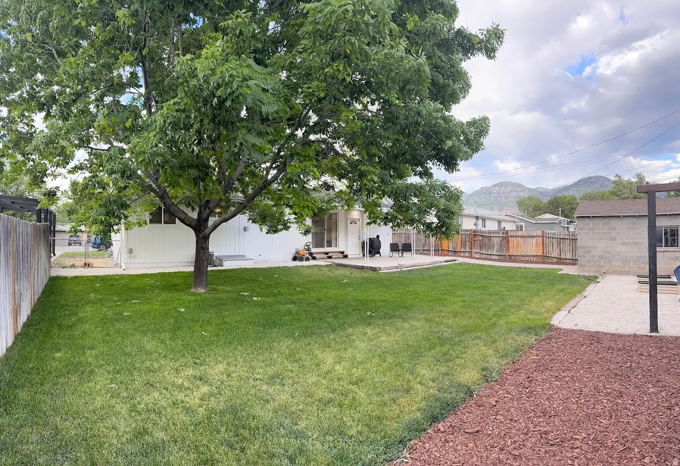Expansive backyard featuring a large tree, a manicured lawn, and a concrete patio