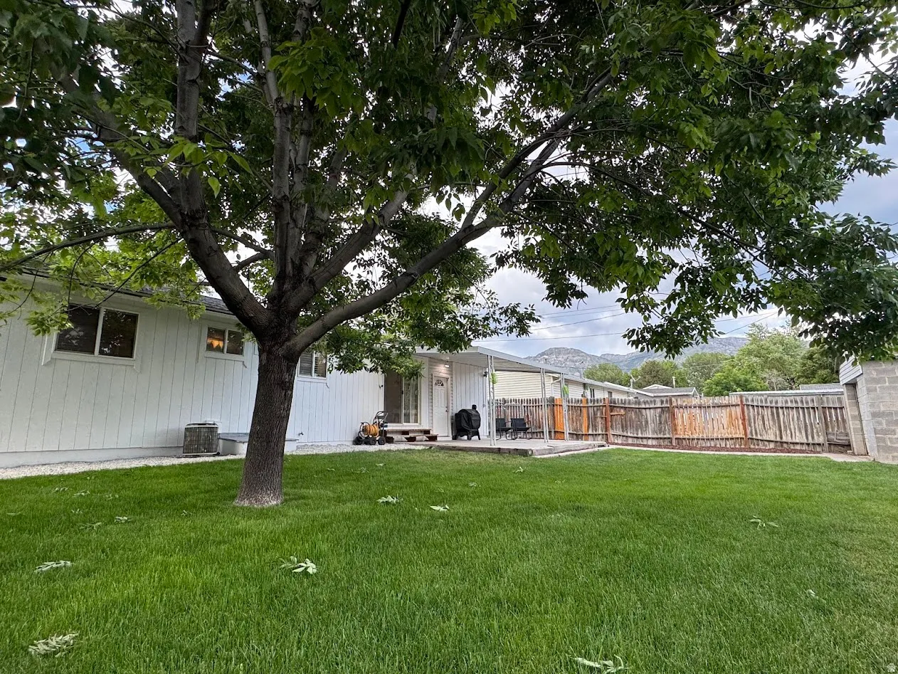 Expansive green lawn featuring a mature tree, white siding exterior, and a rear patio