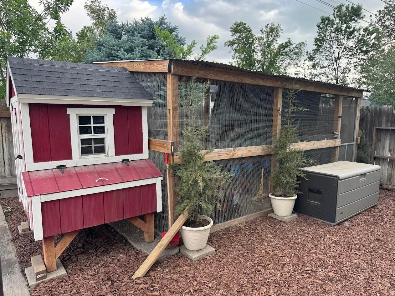 Red-painted chicken coop with white trim and a shingled roof, featuring an attached screened enclosure with a corrugated metal roof