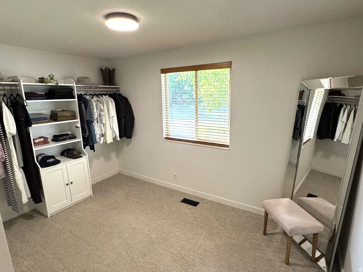 Spacious closet featuring wall-mounted clothing rods, open shelving, and a built-in cabinet with double doors
