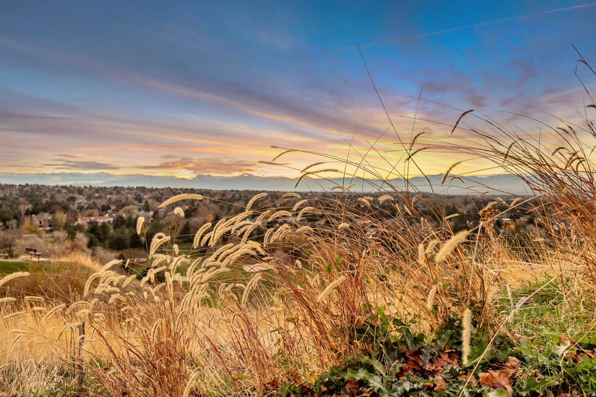 Expansive natural landscape with varied foliage and distant mountain range