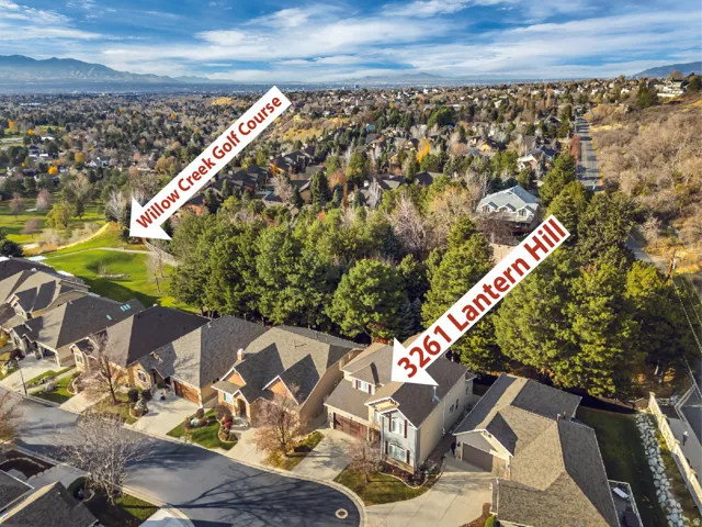 Aerial perspective highlighting a residential street with pitched rooflines and surrounding mature trees