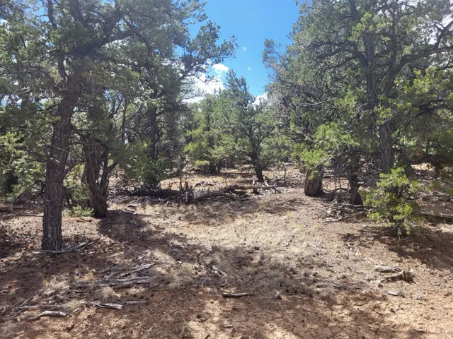 Unit Wp001, Duchesne, Utah 84021