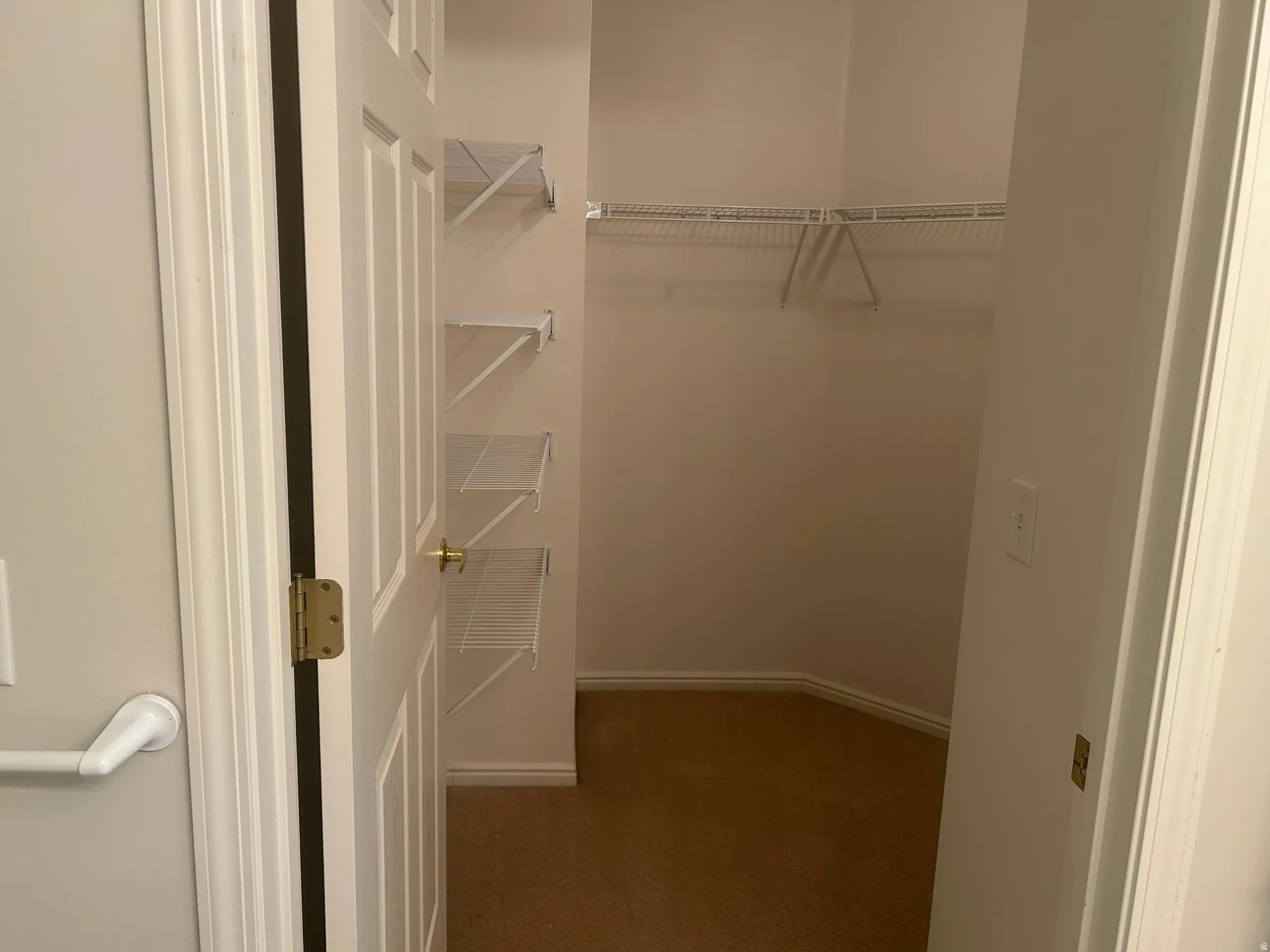 Walk-in closet featuring wire shelving, wire hanging rod, light tan carpeting, white baseboards, and a white paneled door with brass hardware