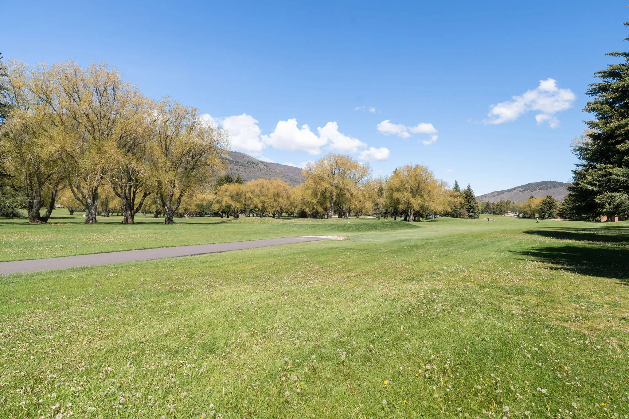 Expansive golf course setting featuring a manicured green, mature trees, a paved path, and distant mountain topography