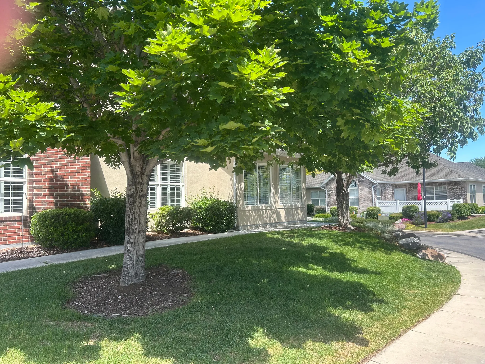 Manicured lawn with mature trees and established landscaping