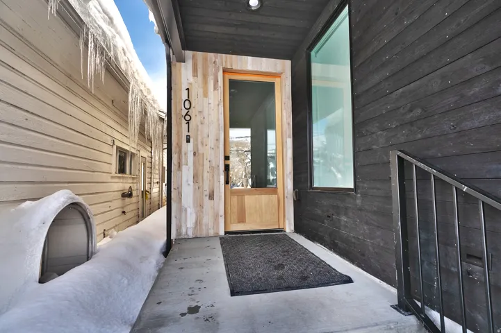 Modern entry featuring black horizontal siding and a light wood-finish door with a full-length glass panel