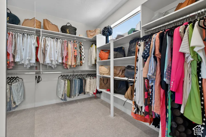 Expansive walk-in closet featuring extensive built-in shelving, multiple hanging rods, and light-toned carpeting