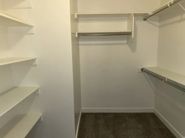 Spacious walk-in closet featuring white built-in shelving, multiple hanging rods, and carpet flooring