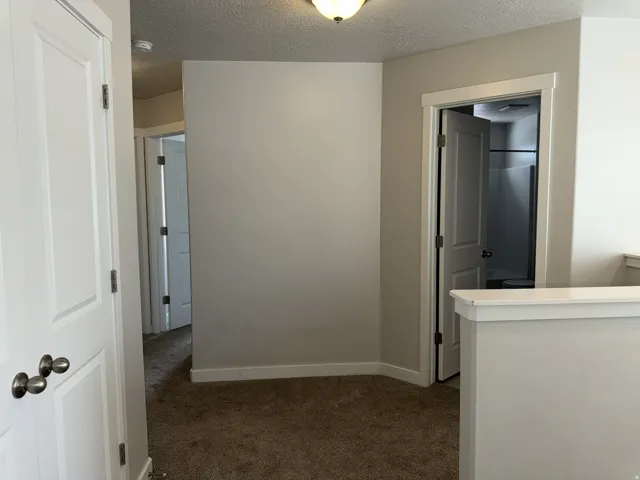 Carpeted hallway featuring multiple white paneled doors, neutral wall paint, and white trim
