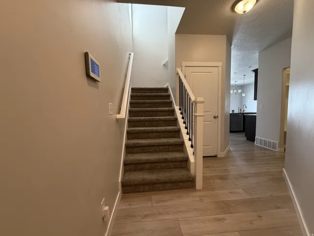 Carpeted staircase with white newel posts and black balusters