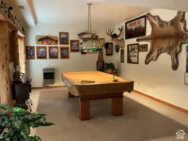 Recreation room featuring a central billiard table with a Tiffany-style pendant light, light-toned carpeting, and natural wood trim