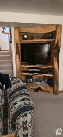 Custom built-in entertainment center featuring natural wood construction and integrated shelving